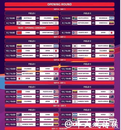 全面解析世界杯投注平台选择技巧
